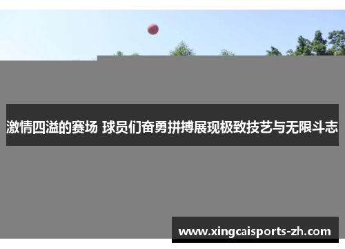 激情四溢的赛场 球员们奋勇拼搏展现极致技艺与无限斗志