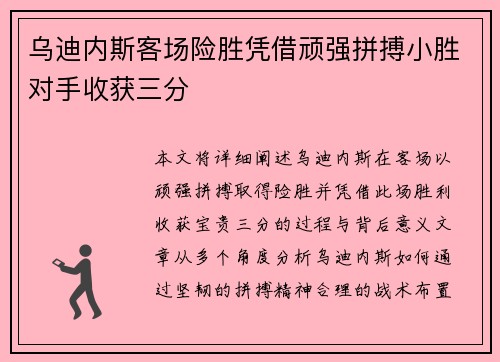 乌迪内斯客场险胜凭借顽强拼搏小胜对手收获三分
