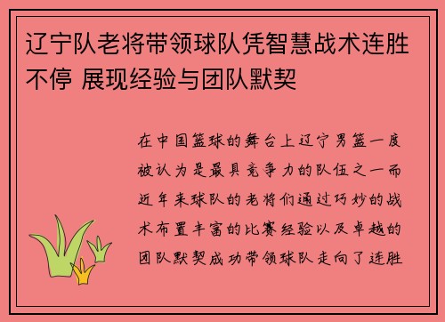 辽宁队老将带领球队凭智慧战术连胜不停 展现经验与团队默契