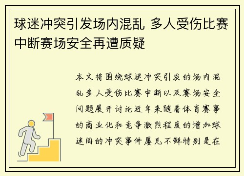 球迷冲突引发场内混乱 多人受伤比赛中断赛场安全再遭质疑